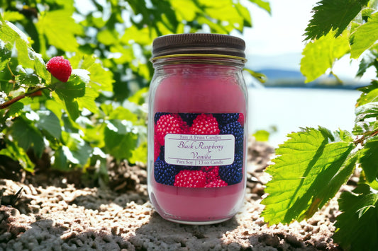 Black Raspberry Vanilla 13 oz Candle