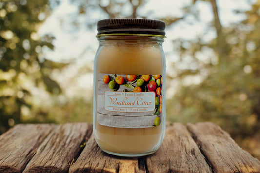 Woodland Citrus 13 oz Candle